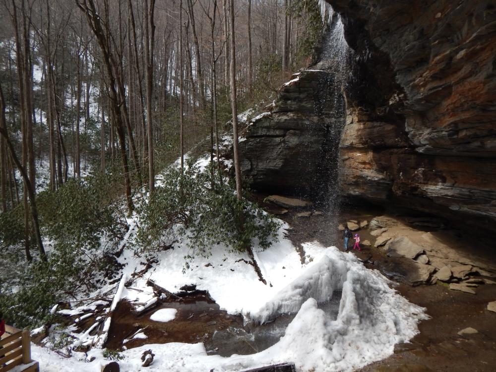 Moore's Cove Waterfall